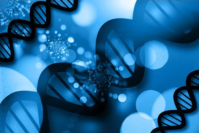 一种多功能胺类18IUCK新利官网KC101,可与多种18IUCK新利官网协同,调节反应速度